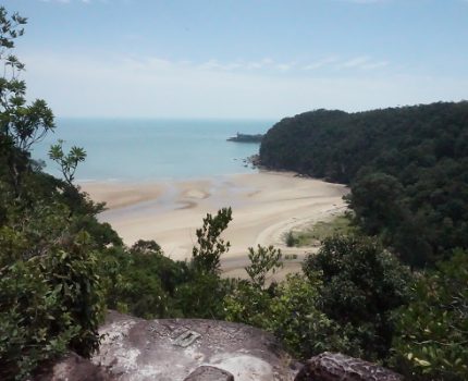 Parco Nazionale di Bako (Borneo Malesia)