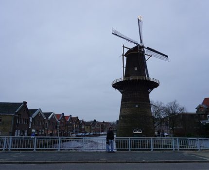 I dintorni di Rotterdam (Olanda)